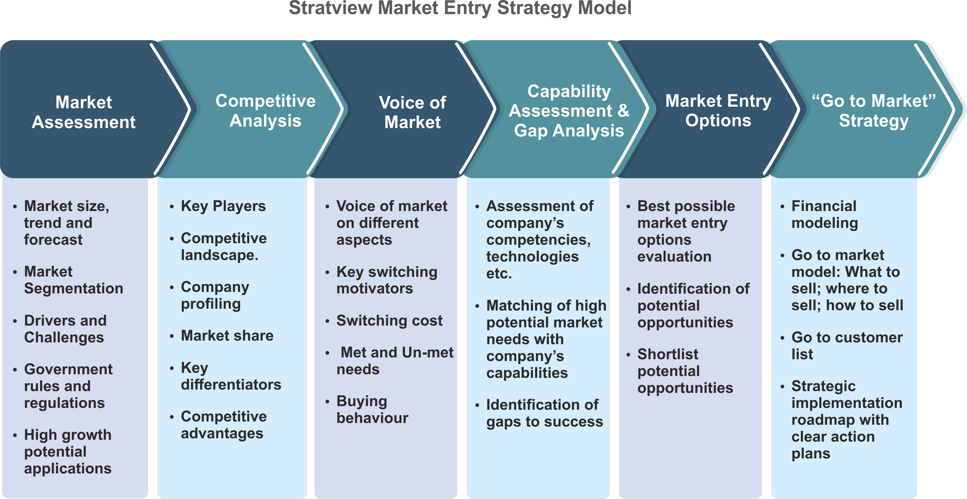 Market Entry Strategy model